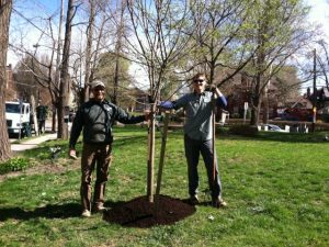 friendship-environment-committee