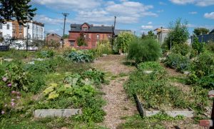 History of Lincoln-Larimer