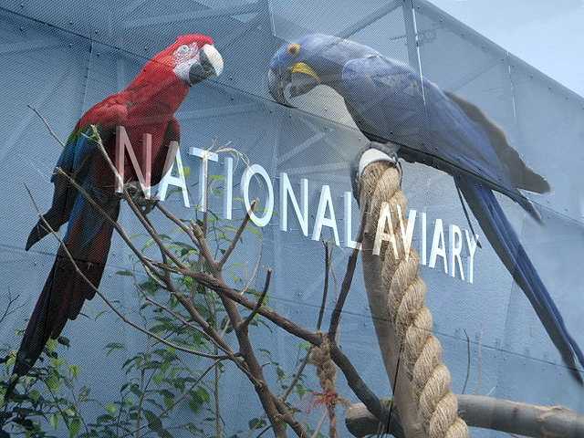 National Aviary romantic dates in Pittsburgh