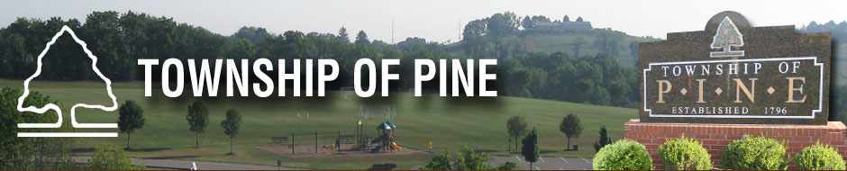 History of Pine Township