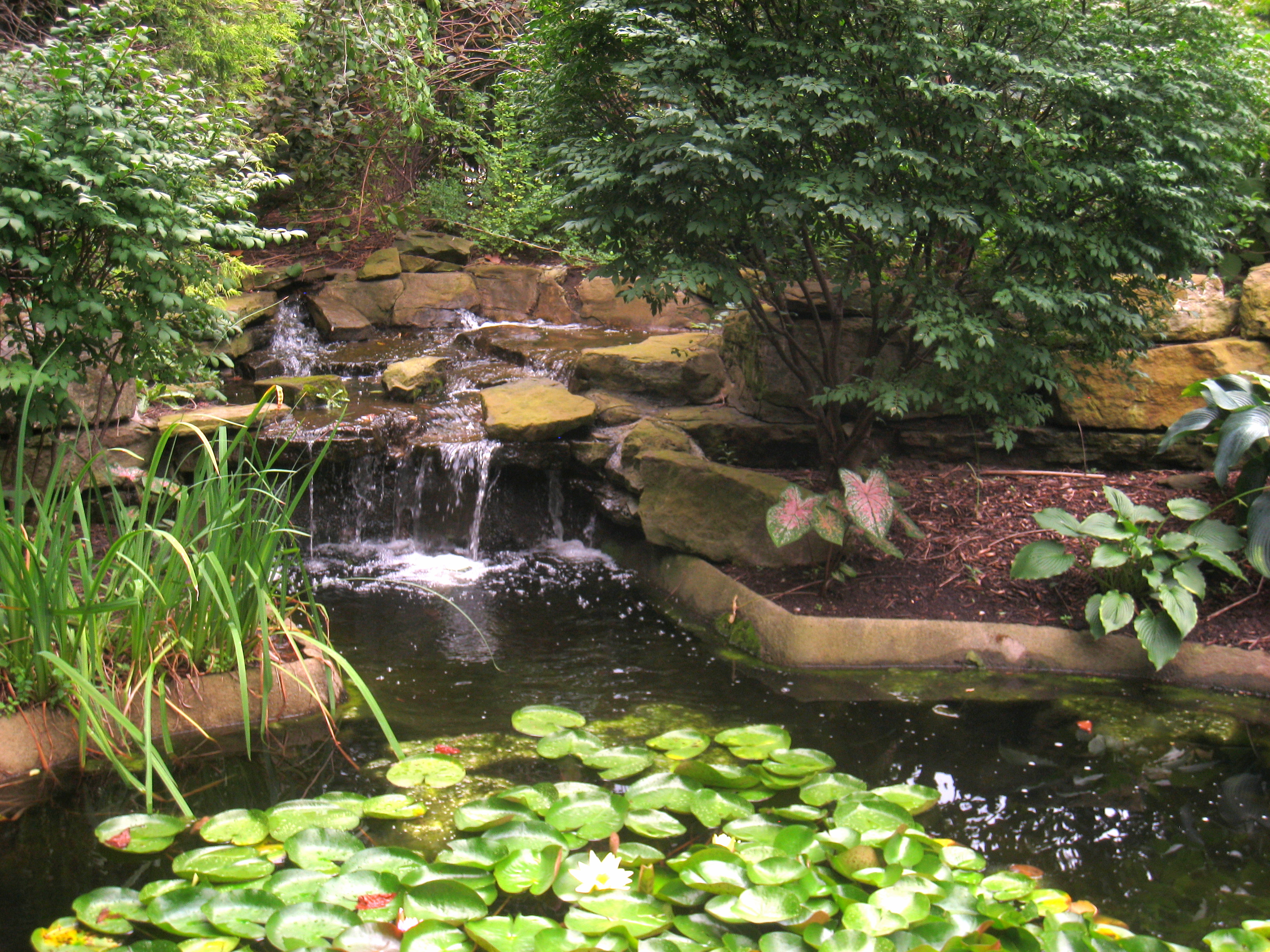 Outdoors in Pittsburgh