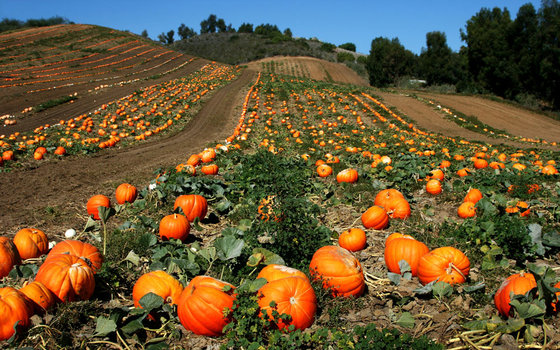  Pittsburgh in the fall 