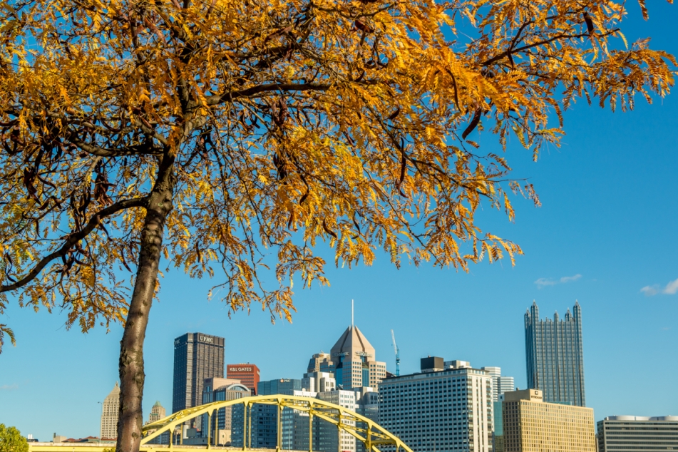 What to do in Pittsburgh This Weekend