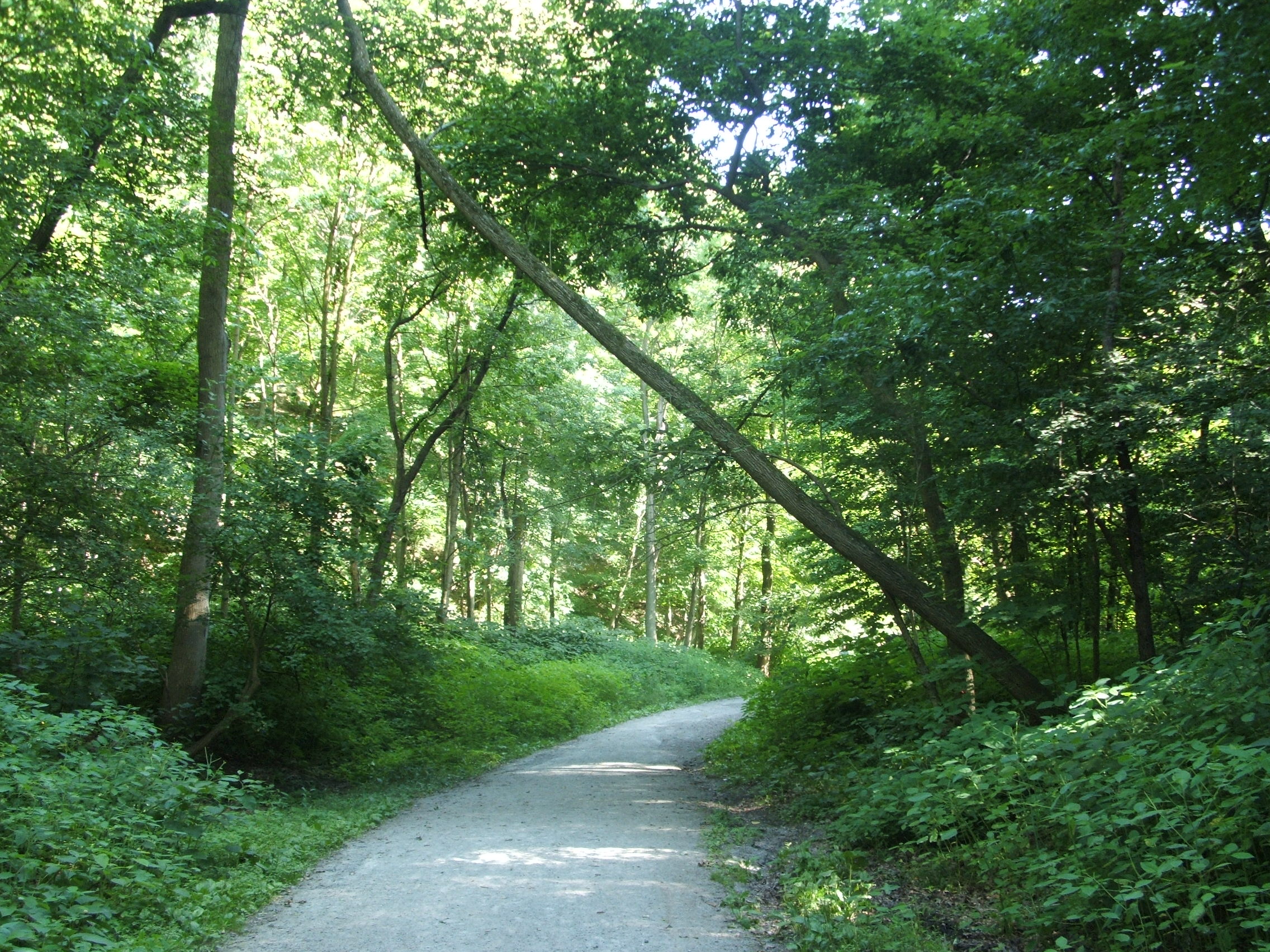 Best Hikes Around Pittsburgh