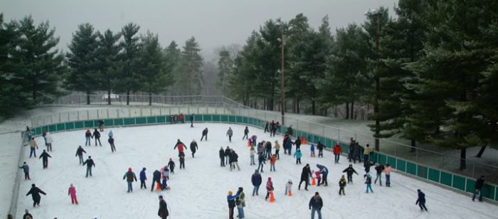 Pitt Holiday Activities