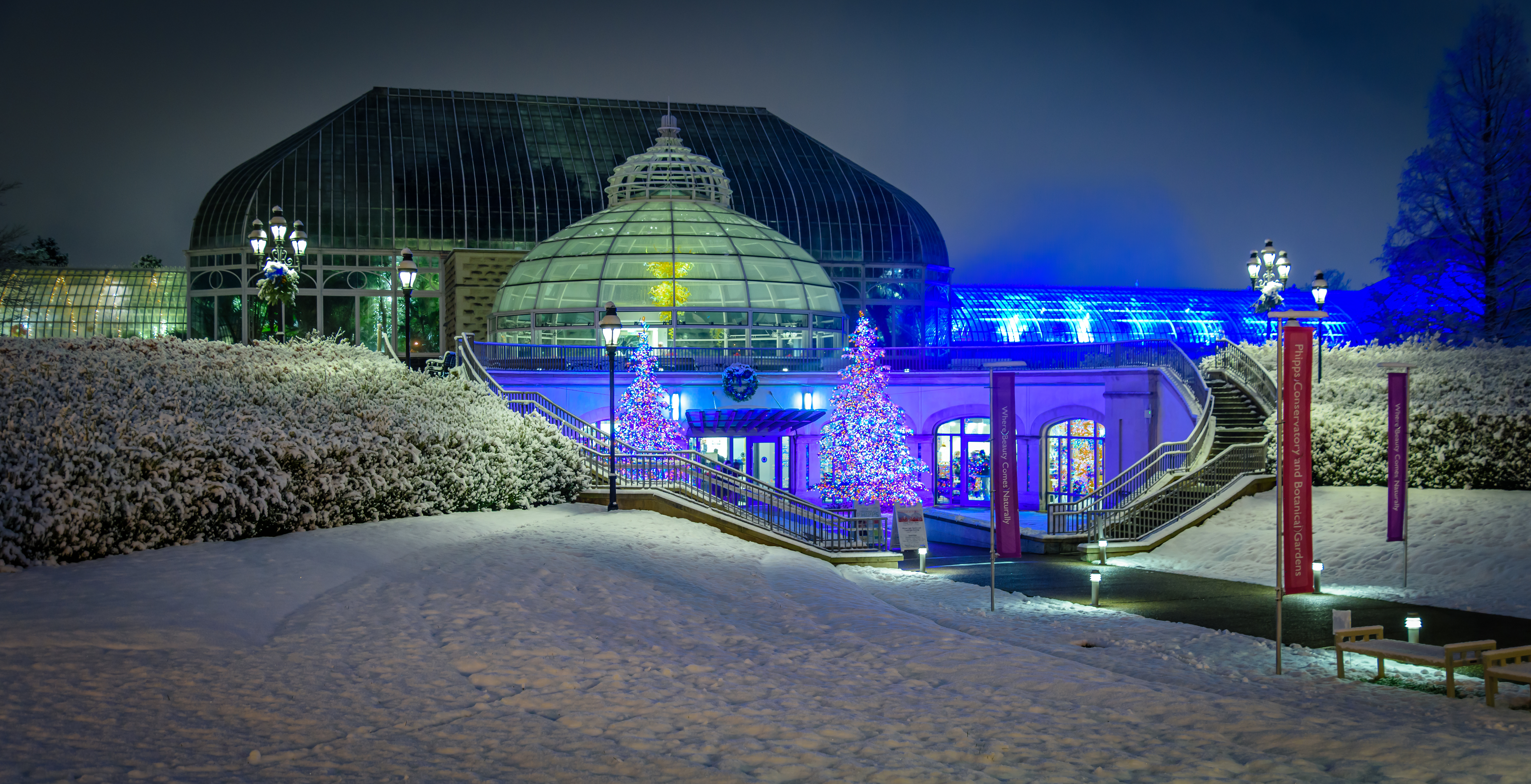 Pitt Holiday Activities