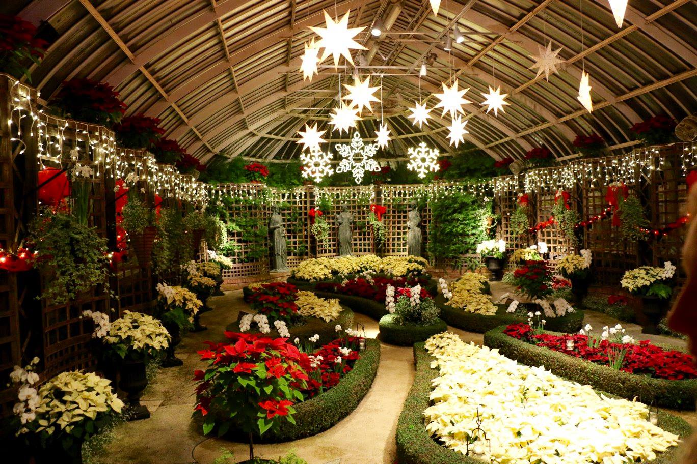 phipps holiday