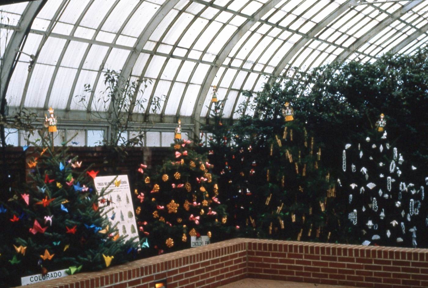 Phipps Conservatory Winter Flower Show and Light Garden