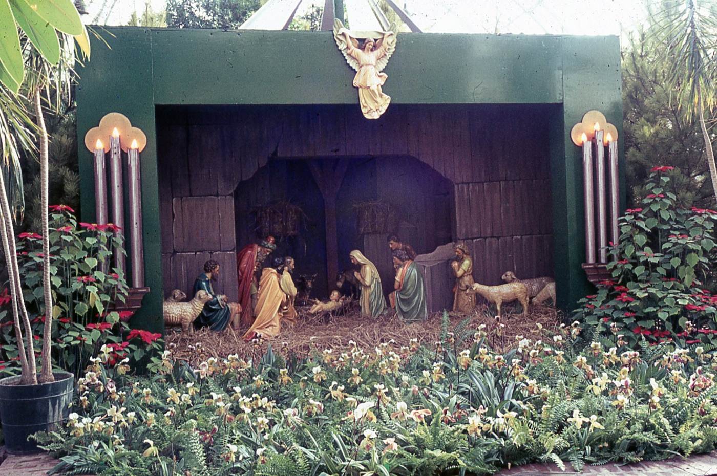 Phipps Conservatory Winter Flower Show and Light Garden