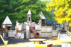 history of Pleasant Hills