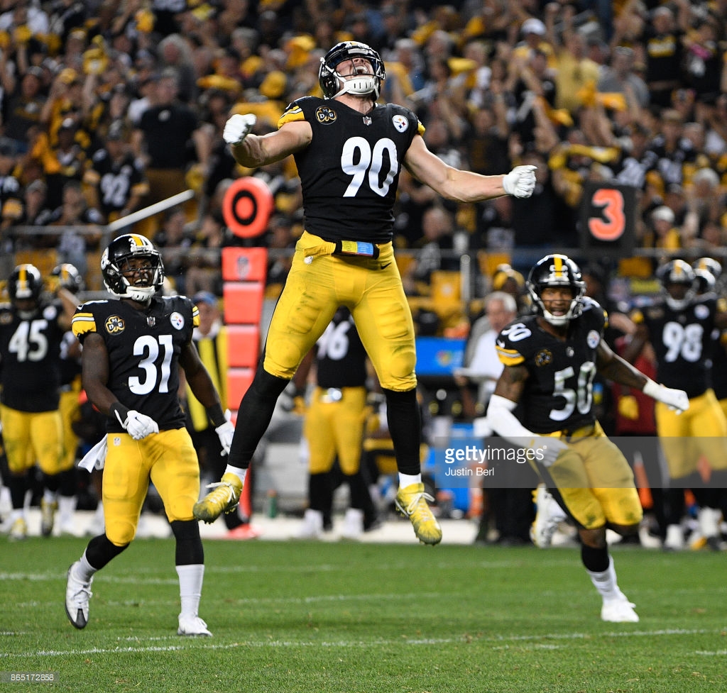 Highlights from the Steelers Season