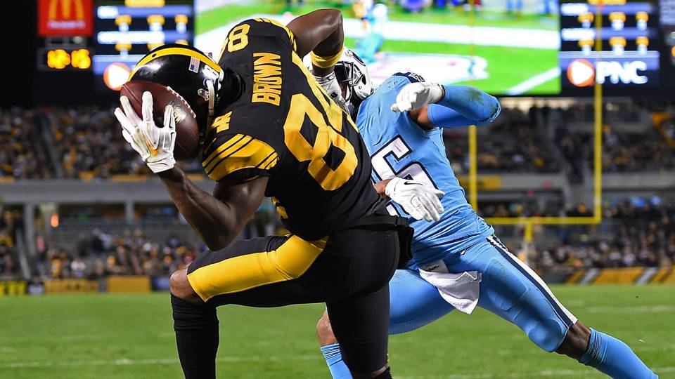 Highlights from the Steelers Season