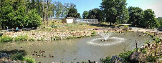 Pittsburgh Suburbs: History of South Park Township