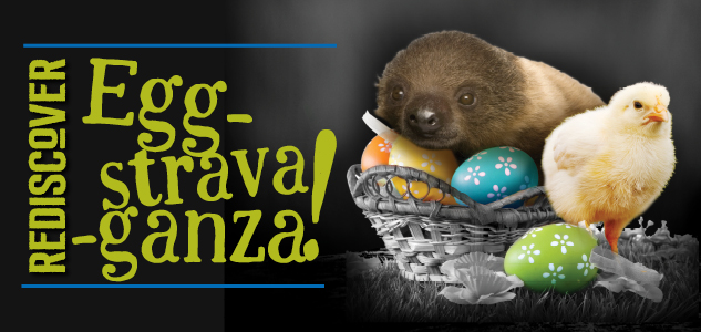 Easter Weekend in Pittsburgh