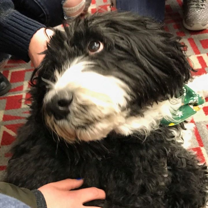 Help Leo Get to Hollywood