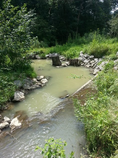 Things Pittsburghers do in the Summertime