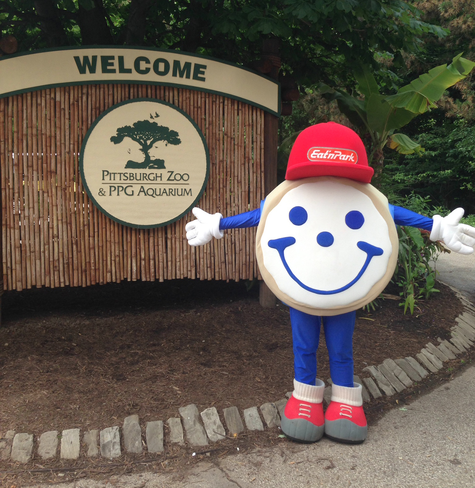 Pittsburgh Summer Activities