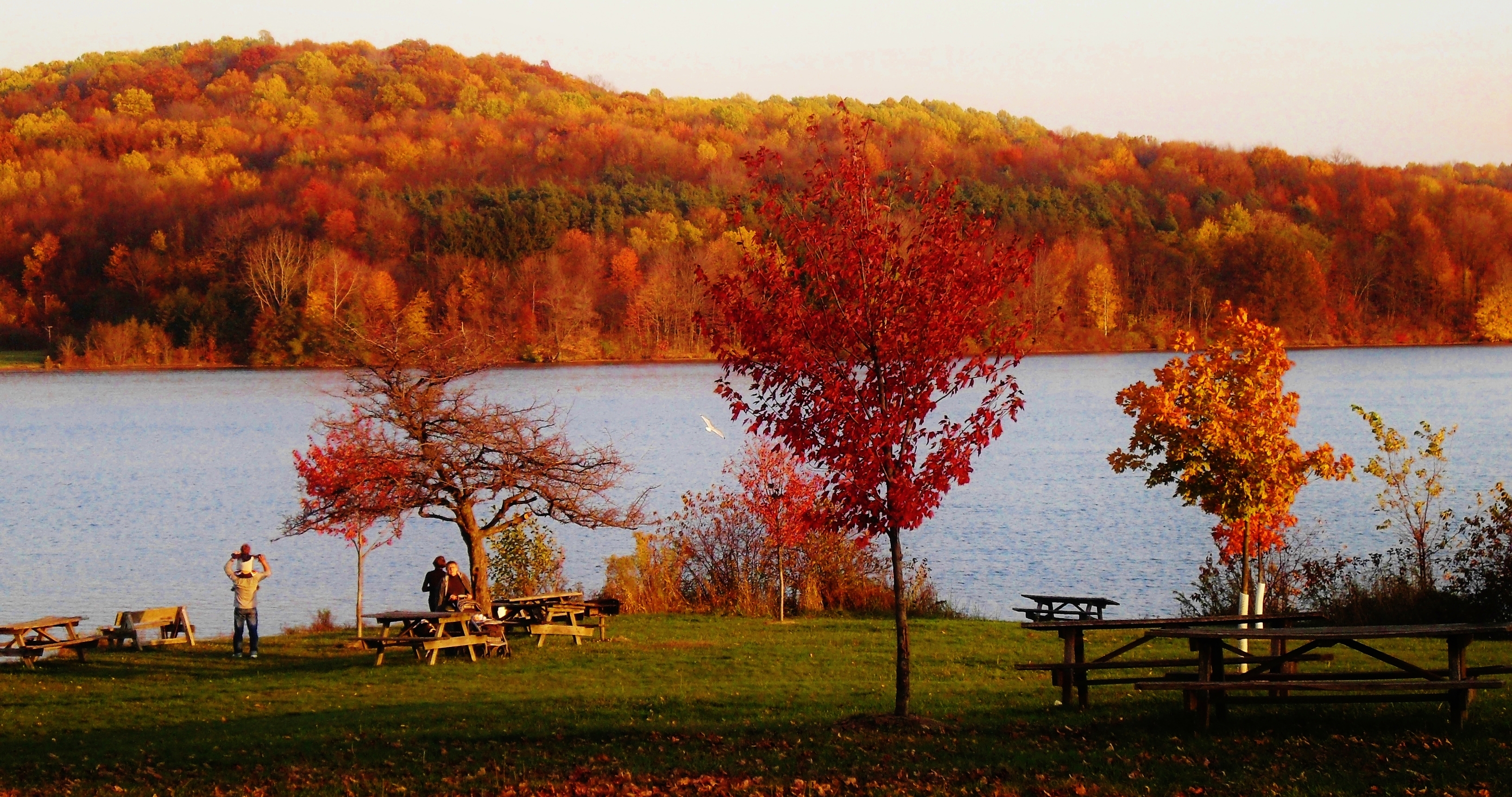 Reasons Pittsburgh is Perfect in the Fall