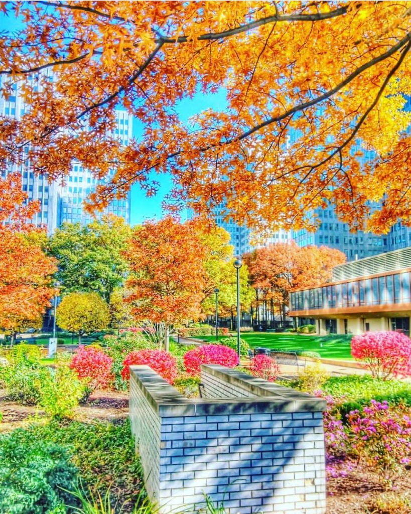 5 Places for Delicious Fall Food in Pittsburgh