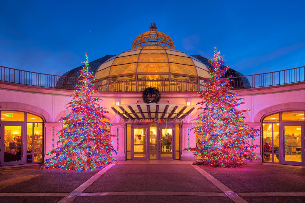 Pittsburgh’s Spectacular Holiday Magic: Let It Glow! is Now Open at Phipps Conservatory, Bigger and Brighter Than Ever