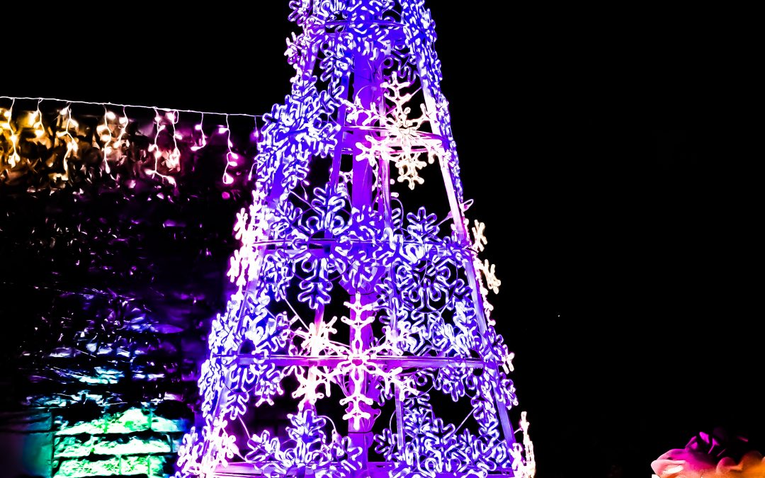 7 Places to Get Your Christmas Trees in Pittsburgh this Year