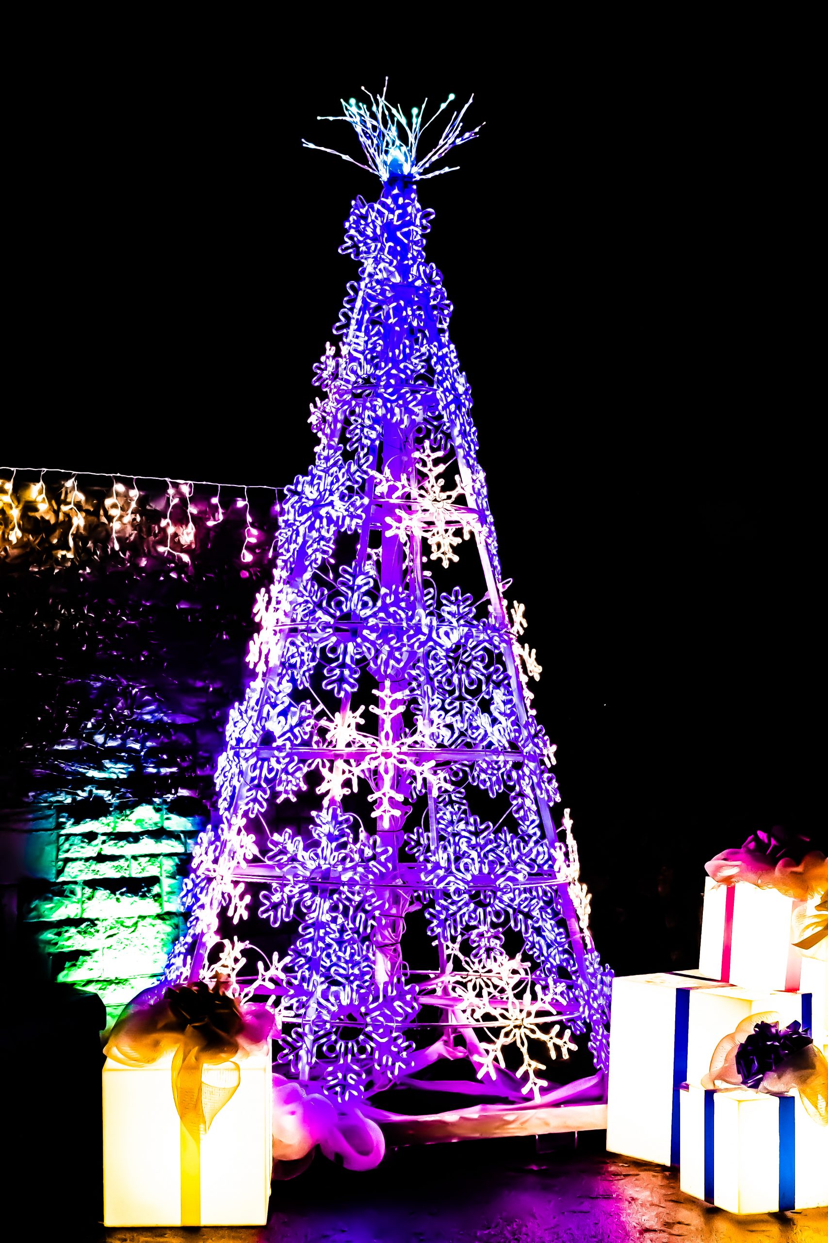 7 Places to Get Your Christmas Trees in Pittsburgh this Year