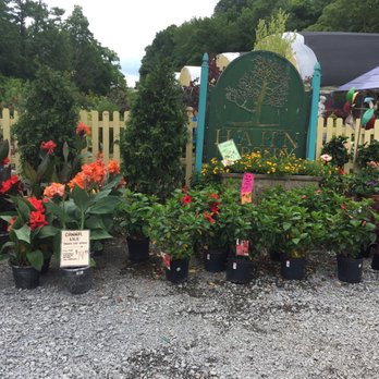 Christmas Trees in Pittsburgh