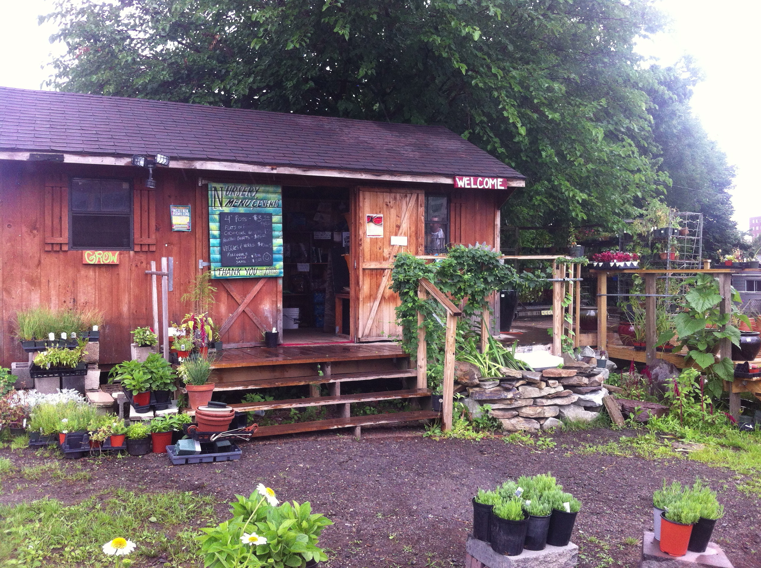 Christmas Trees in Pittsburgh