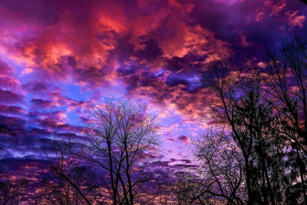 More Women-Owned Businesses in Pittsburgh: 7 Places to Visit