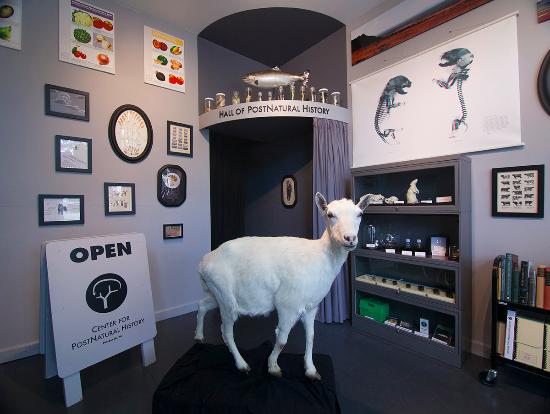 Hidden Gems in Pittsburgh