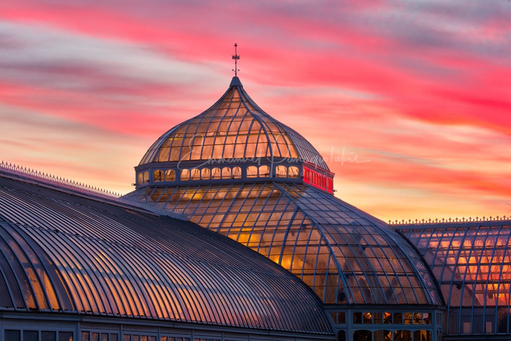 Phipps Conservatory LEEDs the way in Green Innovation