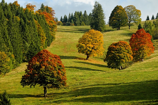 Reasons Pittsburgh is Perfect in the Fall