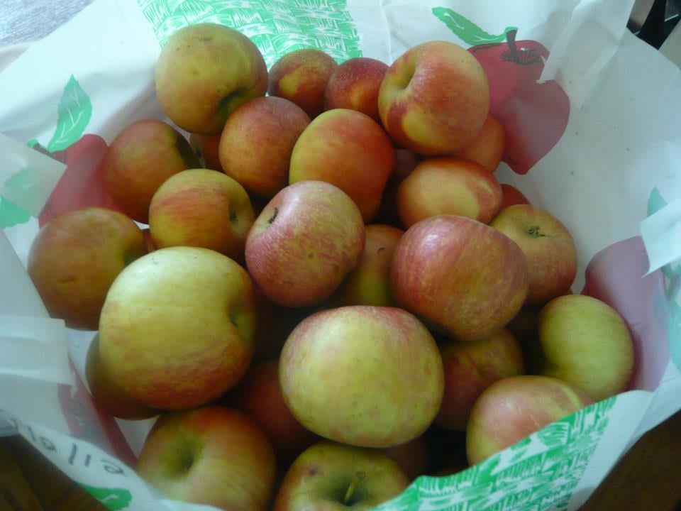 Pittsburgh Apple Orchards You Don't Want to Miss
