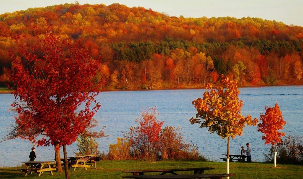 Places to See Fall Leaves Around Pittsburgh