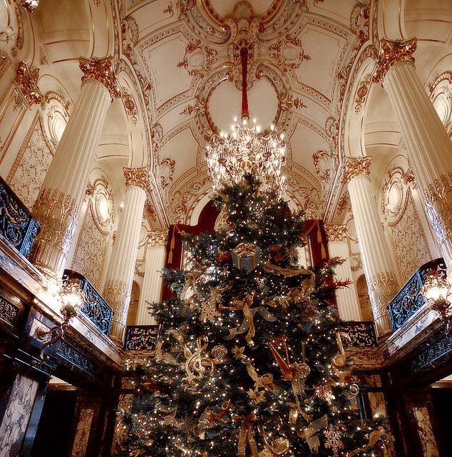 Christmas Tree Displays in Pittsburgh