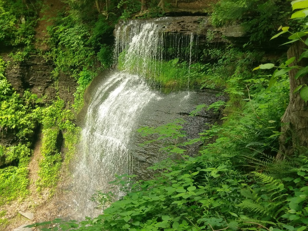 waterfalls near pittsburgh buttermilk falls