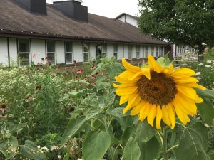 glen hazel Pittsburgh