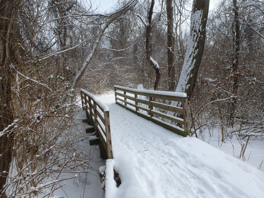 Best Winter Activities In Pittsburgh