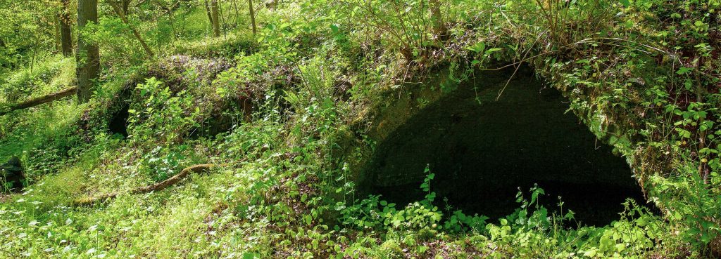 connellsville coke seam