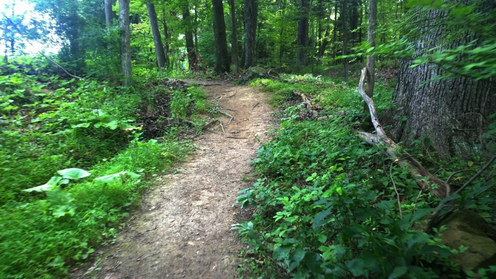 Hartwood Acres Park
