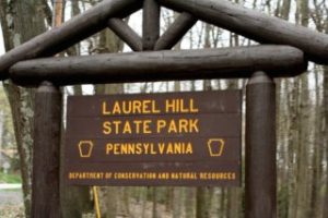 Laurel Hill State Park