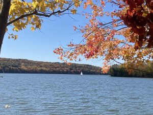Moraine State Park