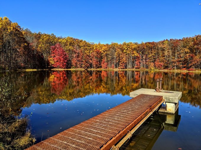 coopers rock state forest