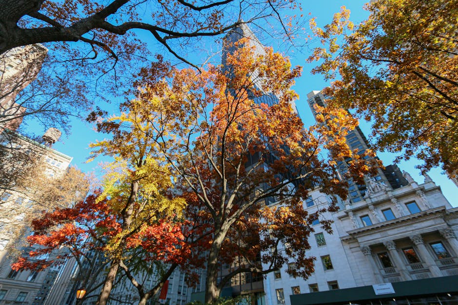A Day in the Life: Exploring Pittsburgh’s Parks